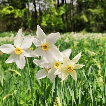 Barbi Exclusive شقة *