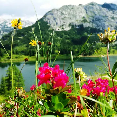 Barbi Exclusive Апартаменты Бад-Миттерндорф