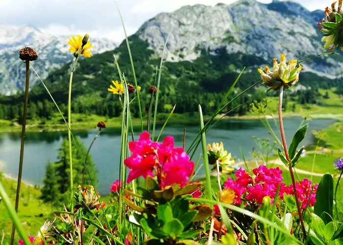 Barbi Exclusive Apartment Bad Mitterndorf